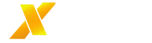 X365